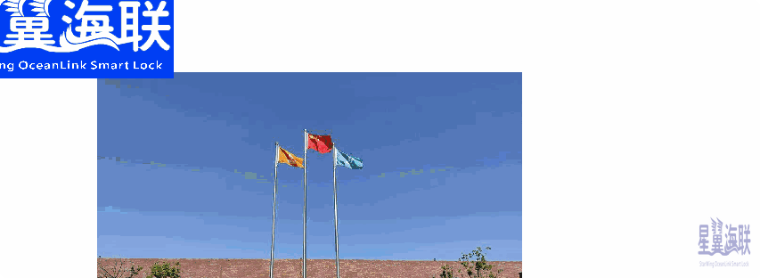 合肥国轩新能源