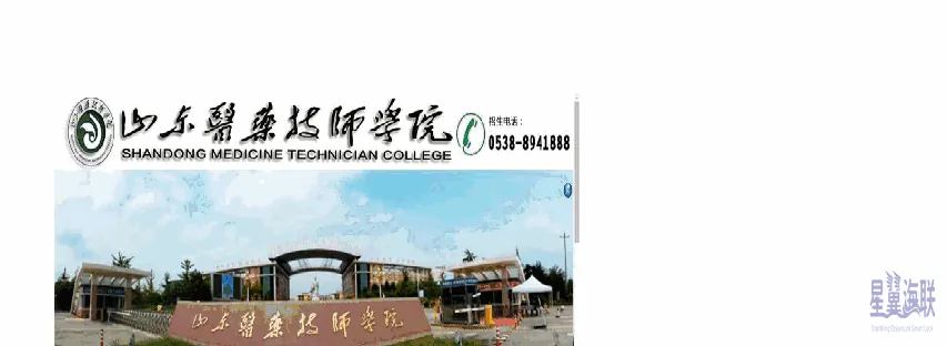 山东医学(院校)