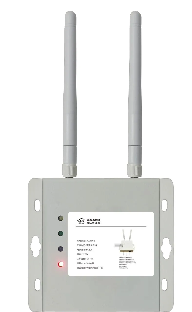 4G Cat.1 / 蓝牙 / WiFi 多种组网网关